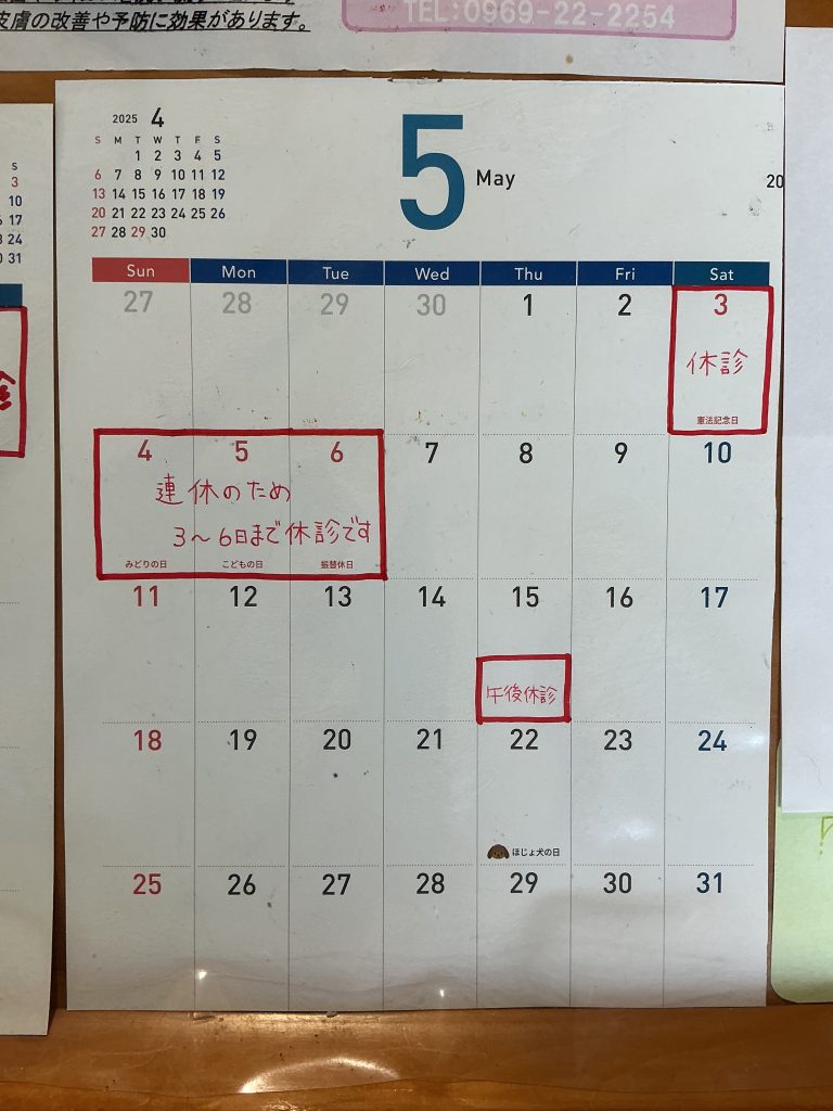 5月の休診のお知らせ